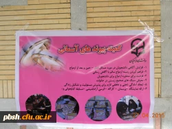 کارگاه ، شور، شعور، زندگی