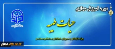 طرح معرفتی حیات طیبه مجازی آغاز شد