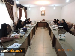 تشکیل کمیته اجرایی فعالیت های بهداشت روان  2