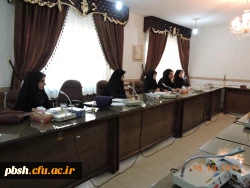 تشکیل کمیته اجرایی فعالیت های بهداشت روان  4