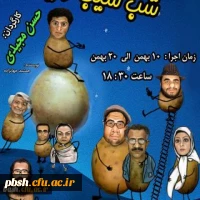 نمایش تئاتر کمدی (شب سیب زمینی) 2