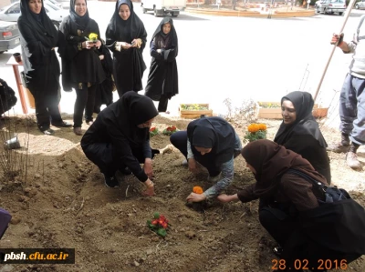 همراهی با طبیعت، زیبا سازی محوطه