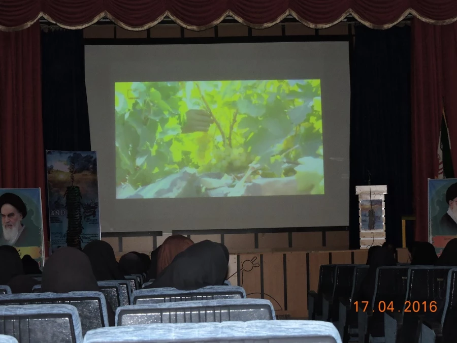 اکران فیلم های جشنواره بین المللی رشد 2