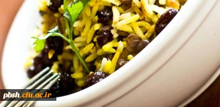 راه اندازی سامانه اتوماسیون تغذیه