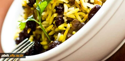 راه اندازی سامانه اتوماسیون تغذیه