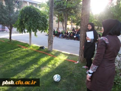 برگزاری جشنواره ورزش های همگانی و بومی –محلی 2