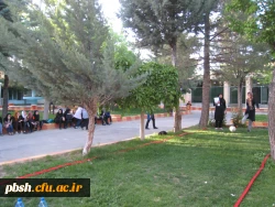 برگزاری جشنواره ورزش های همگانی و بومی –محلی 3