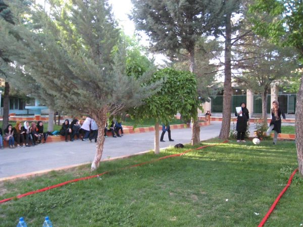 برگزاری جشنواره ورزش های همگانی و بومی –محلی 3