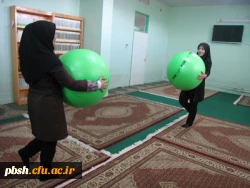 برگزاری جشنواره ورزش های همگانی و بومی –محلی 6