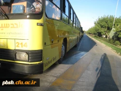 شرکت دانشجو معلمان پردیس شهید باهنر در طرح «پیمان با امام رئوف» 7