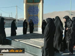 پیاده روی تپه نورالشهدا 4