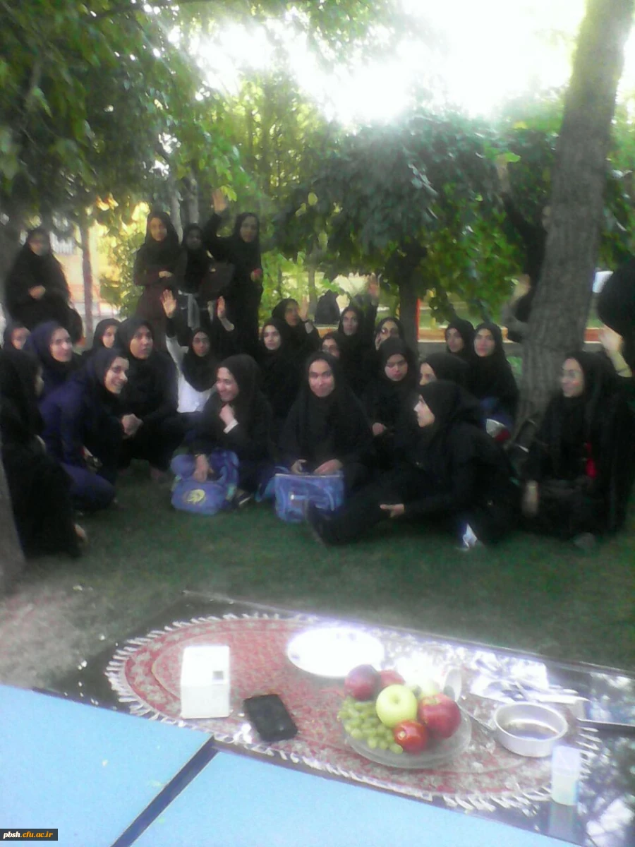 مسابقه پخت و تزئین غذا 3