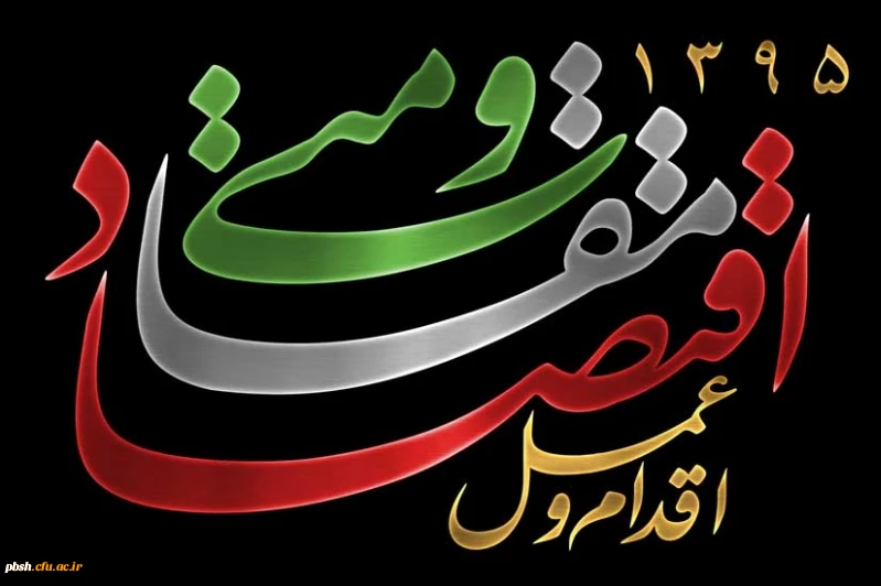 اقتصاد مقاومتی، اقدام و عمل