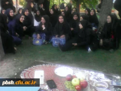 مسابقه پخت و تزئین غذا 6