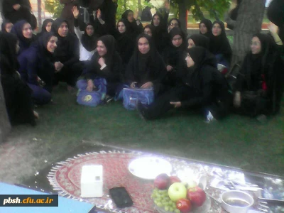 مسابقه پخت و تزئین غذا