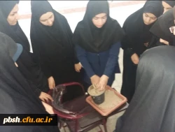 کارگاه کشت زعفران و گیاهان دارویی 4