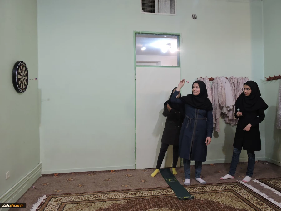 برگزاری کارگاه آموزش دارت