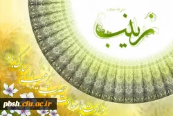 ولادت با سعادت حضرت زینب کبری (س) مبارک باد 2