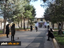 برگزاری مسابقه ورزشی به مناسبت هفته سرای دانشجویی