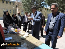 پخت آش به مناسبت هفته سرای دانشجویی