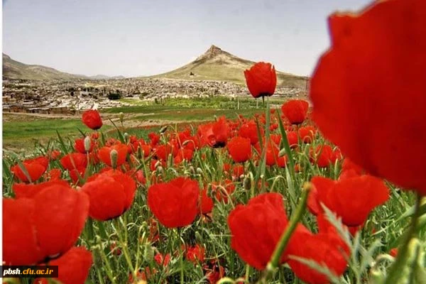 کانون فیلم و عکس دانشگاه شهرکرد برگزار می کند: جشنواره عکاسی بهار بام ایران 3