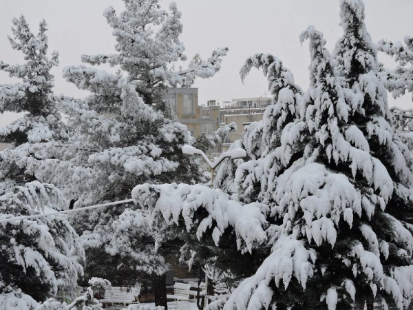 صبح برفی پردیس شهید باهنر و حضور دانشجومعلمان، اساتید و کارکنان در پردیس 8