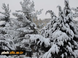 صبح برفی پردیس شهید باهنر و حضور دانشجومعلمان، اساتید و کارکنان در پردیس 14