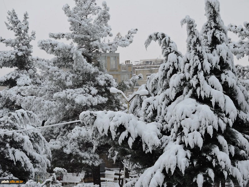صبح برفی پردیس شهید باهنر و حضور دانشجومعلمان، اساتید و کارکنان در پردیس 14