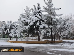 صبح برفی پردیس شهید باهنر و حضور دانشجومعلمان، اساتید و کارکنان در پردیس 17