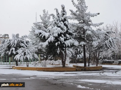 صبح برفی پردیس شهید باهنر و حضور دانشجویان، اساتید و کارکنان در پردیس کلاس های درس