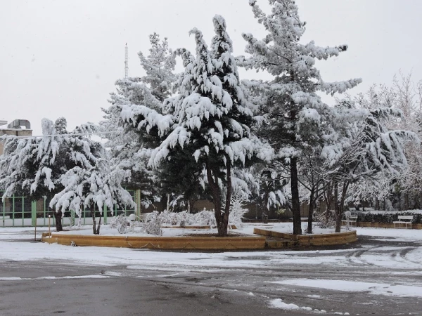 صبح برفی پردیس شهید باهنر و حضور دانشجومعلمان، اساتید و کارکنان در پردیس 17