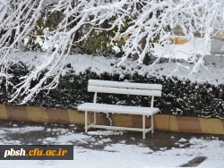 صبح برفی پردیس شهید باهنر و حضور دانشجومعلمان، اساتید و کارکنان در پردیس 19