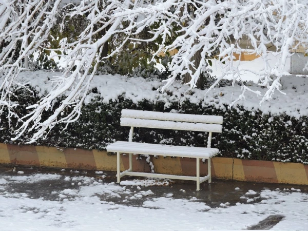 صبح برفی پردیس شهید باهنر و حضور دانشجومعلمان، اساتید و کارکنان در پردیس 19