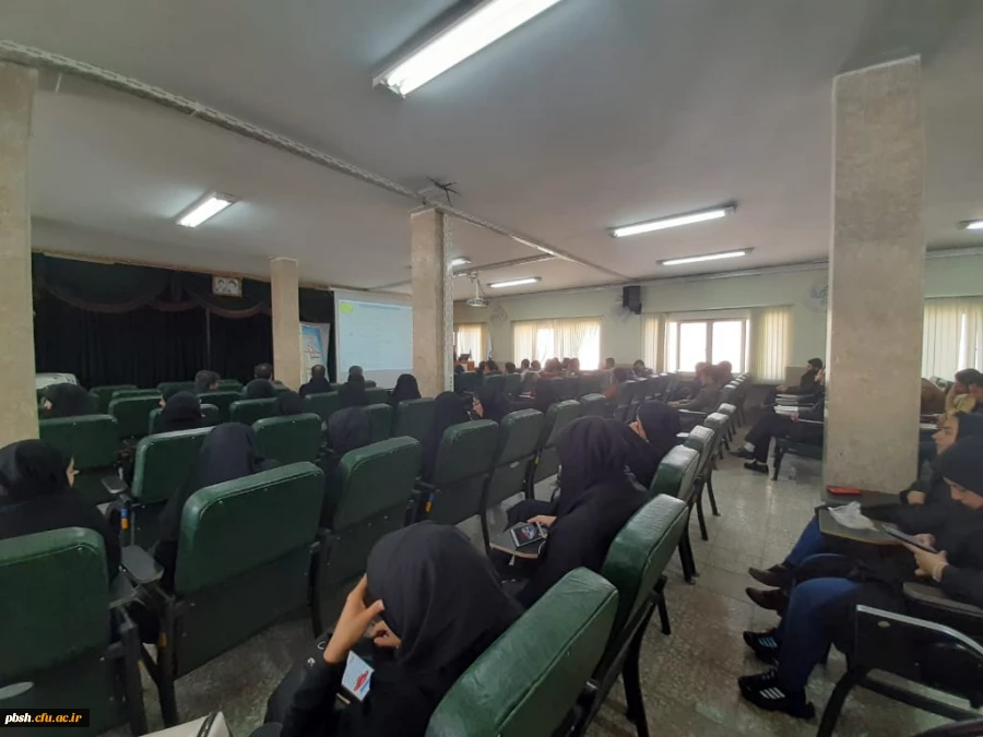 سفیران سلامت