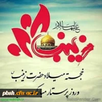 ولادت با سعادت زینب کبری(س) و روز پرستار مبارک  2