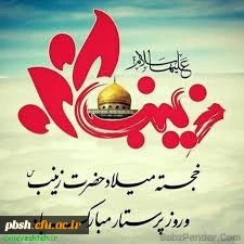 ولادت با سعادت زینب کبری(س) و روز پرستار مبارک  2