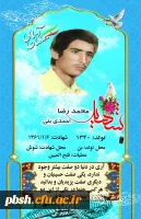 محمد رضا احمدی