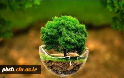 بهترین راهکارهای حفظ محیط زیست کدامند؟ 2