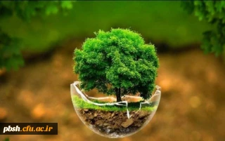 به مناسبت بزرگداشت روز جهانی محیط زیست:
بهترین راهکارهای حفظ محیط زیست کدامند؟