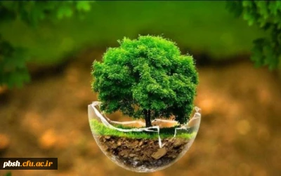 به مناسبت بزرگداشت روز جهانی محیط زیست:
بهترین راهکارهای حفظ محیط زیست کدامند؟
