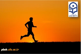 از سوی اداره کل تربیت بدنی معاونت دانشجویی ابلاغ شد؛
دستورالعمل عمومی و فنی المپیاد ورزش های قهرمانی (10 رشته ورزشی)