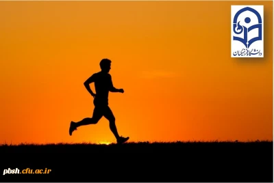 از سوی اداره کل تربیت بدنی معاونت دانشجویی ابلاغ شد؛
دستورالعمل عمومی و فنی المپیاد ورزش های قهرمانی (10 رشته ورزشی)