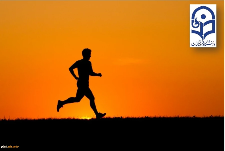 از سوی اداره کل تربیت بدنی معاونت دانشجویی ابلاغ شد؛
دستورالعمل عمومی و فنی المپیاد ورزش های قهرمانی (10 رشته ورزشی) 2